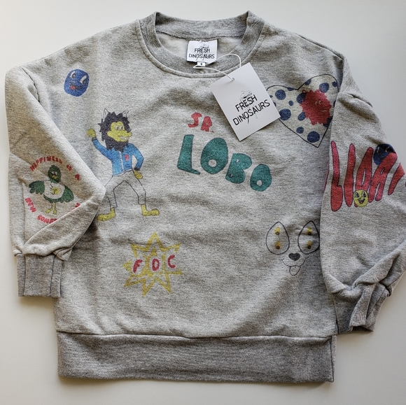 Fresh Dinosaurs Other - Fresh Dinosaurs Sweatshirt Size 4